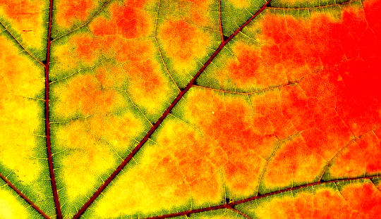 The Age of Undoing: Resisting Nothing and Entering the Fullness of Time The Age of Undoing: Resisting Nothing and Entering the Fullness of Time